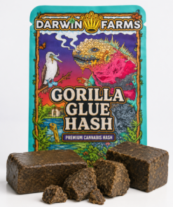 DARWIN FARMS GORILLA GLUE HASH