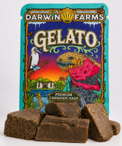 Gelato hash