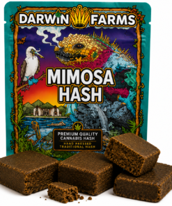 MIMOSA HASH