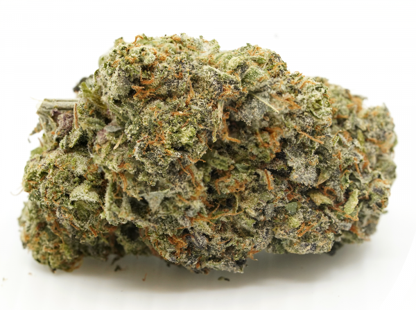 Gelato 41 cannabis strain flower