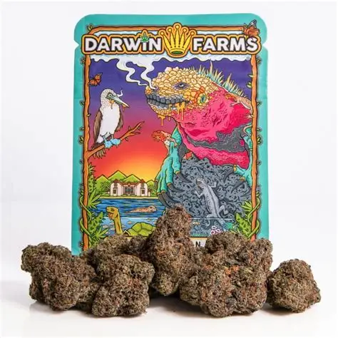 Darwinfarms Strains cannabis flower collection